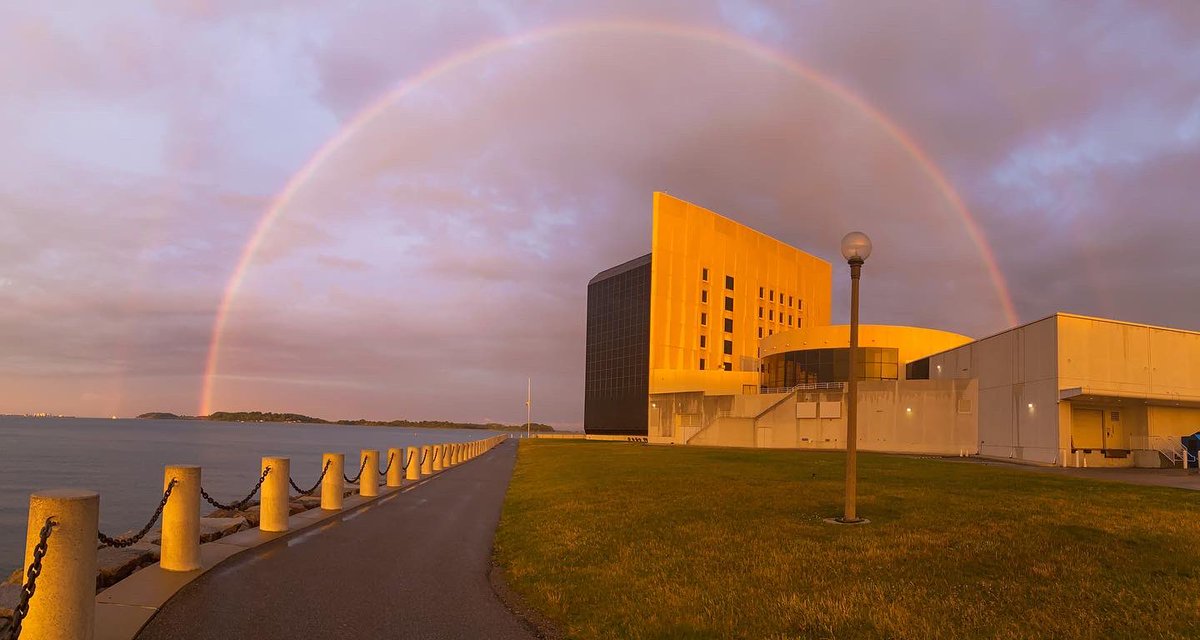 Olivia Corradin tweet media