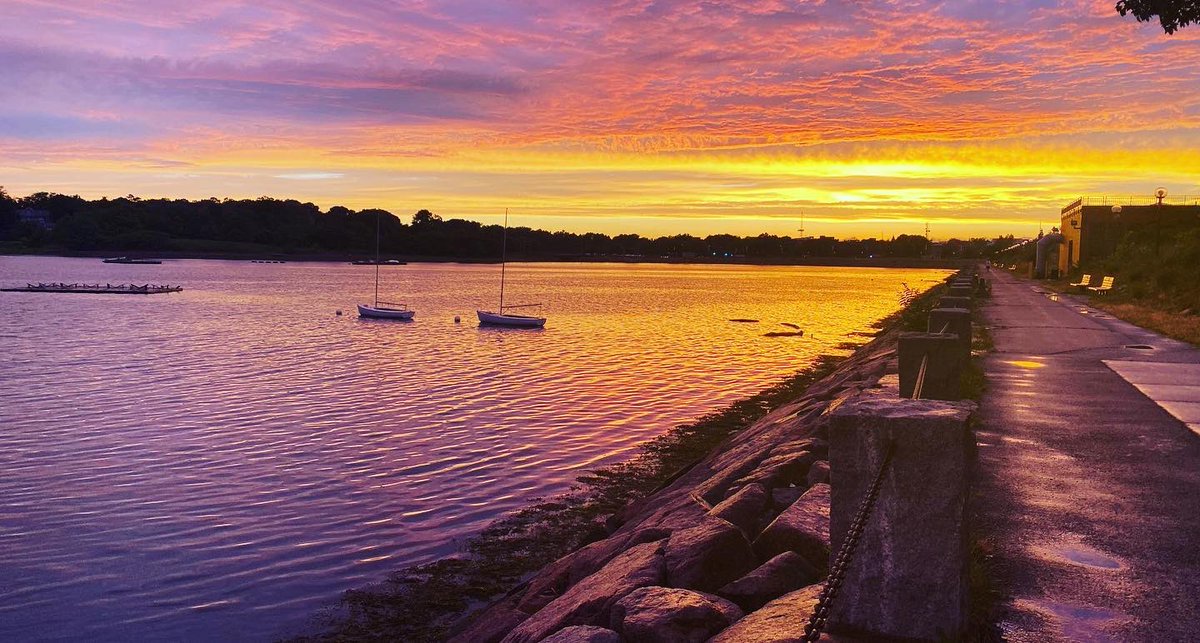 Olivia Corradin tweet media