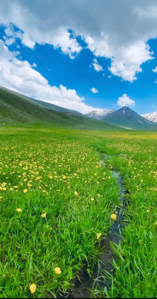 ⛅✨
نظــمُ الطبيعة سرٌّ في تفرّده
الكــونُ يشهدُ أن الواحدَ اللهُ

نقّل فؤادك إبصاراً ترى عجباً 
في كل شــيءٍ دليلٌ أنه اللهُ
🍂🍃🍂
#صباح_الخيرᅠ