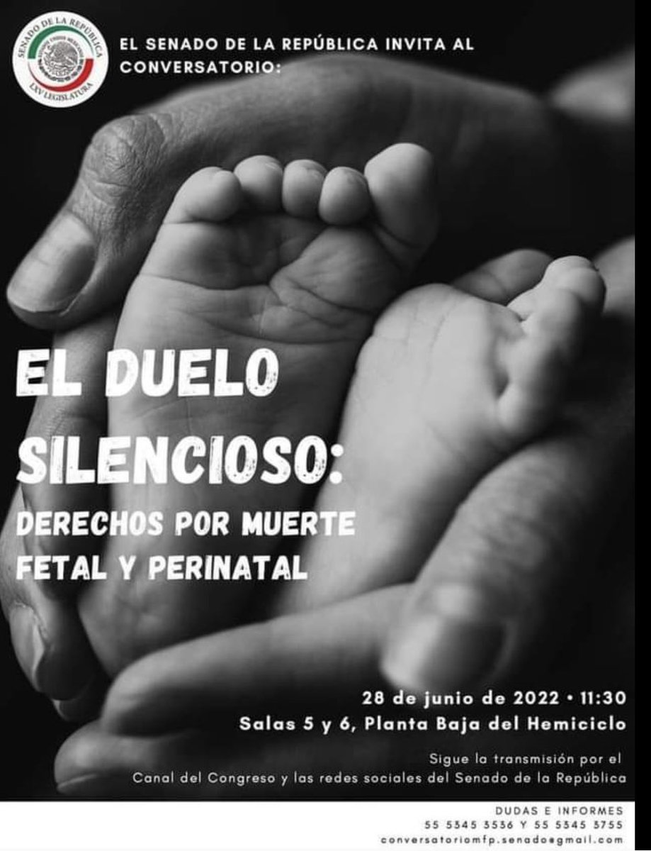 Mañana conversatorio en el Senado sobre #leycunasvaciasmx únete a la causa! Conéctate! Por aquí compartiremos mañana el link. Si estas en la ciudad de México asiste para dar fuerza a esta ley! Infórmate y apoya! <a href="/SaludPrimero_Mx/">saludprimero_mx</a> <a href="/AristeguiOnline/">Aristegui Noticias</a>  <a href="/CNDH/">CNDH en México</a> <a href="/senadomexicano/">Senado de México</a>