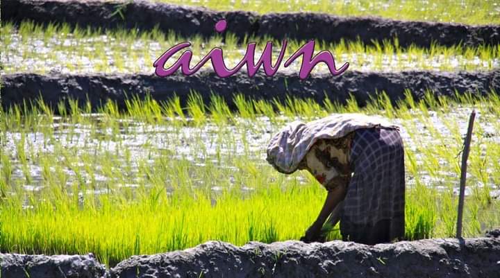 tebtebba's tweet photo. #NewArticle: AIWN Partner Organizations Kick Off Economic Recovery Project

Read👉👉👉https://t.co/LSFFgOR8tM

#AIWN @IIWF #IndigenousWomen #WeAreIndigenous https://t.co/zp4uxcGNM3