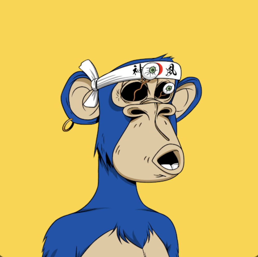 🐸🍄 tweet media