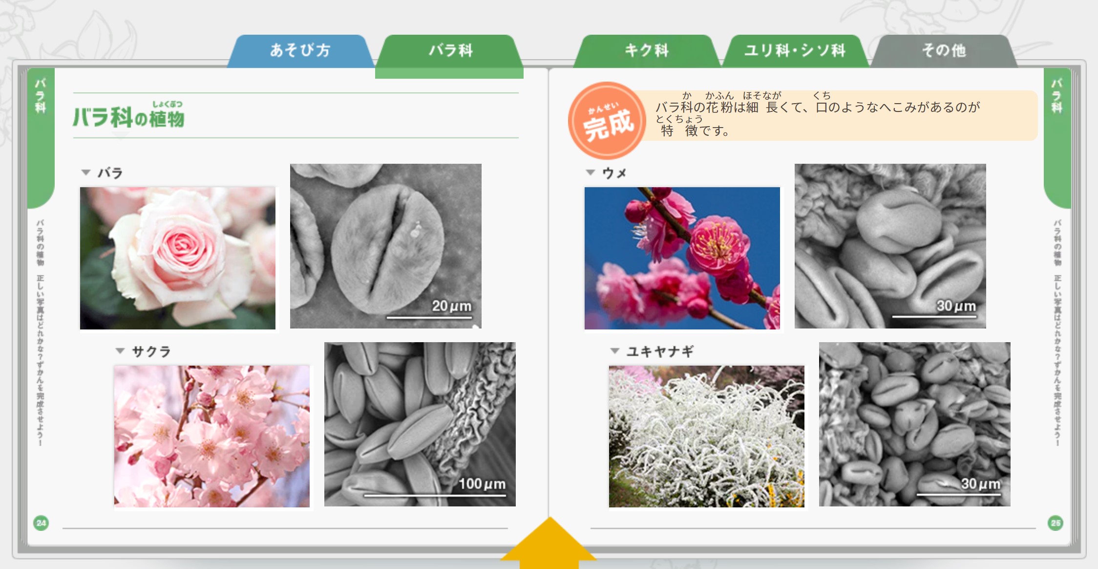 Follow 日立ハイテク S Hitachi Ht Jp Latest Tweets Twitter