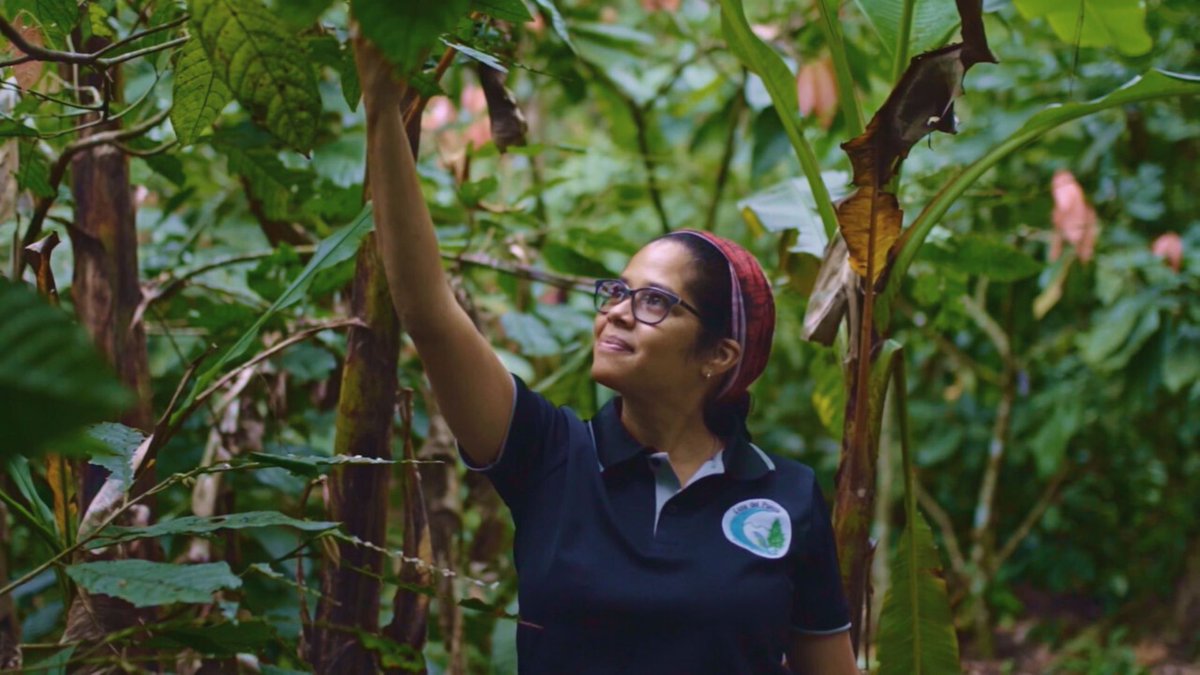 UEenHonduras's tweet photo. El #ProyectoSer es una de las iniciativas con las que apoyamos la reactivación económica de #mipymes (especialmente lideradas por mujeres). "El proyecto me ha abierto nuevamente el conocimiento financiero. Gracias a las capacitaciones he mejorado en el área técnica"- Milsa 👇 https://t.co/1dbwUiEDS4