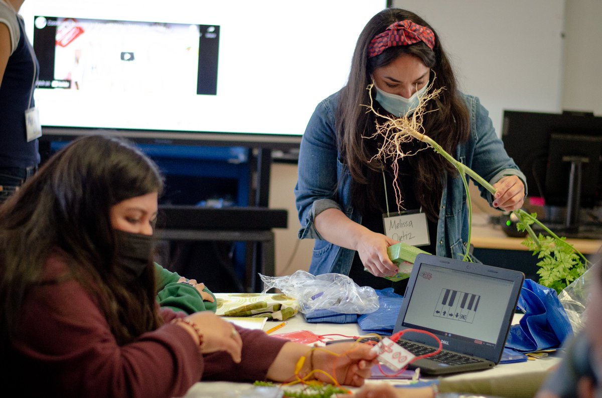 biojamcamp's tweet photo. In day 6 of #biojamcamp, @l3fty112 led teens to make biocircuits using foraged plants ๐ฑ from Gabilan Creek and @makeymakey to play tiny pianos ๐นand tetris! https://t.co/jA69MAoCqJ
