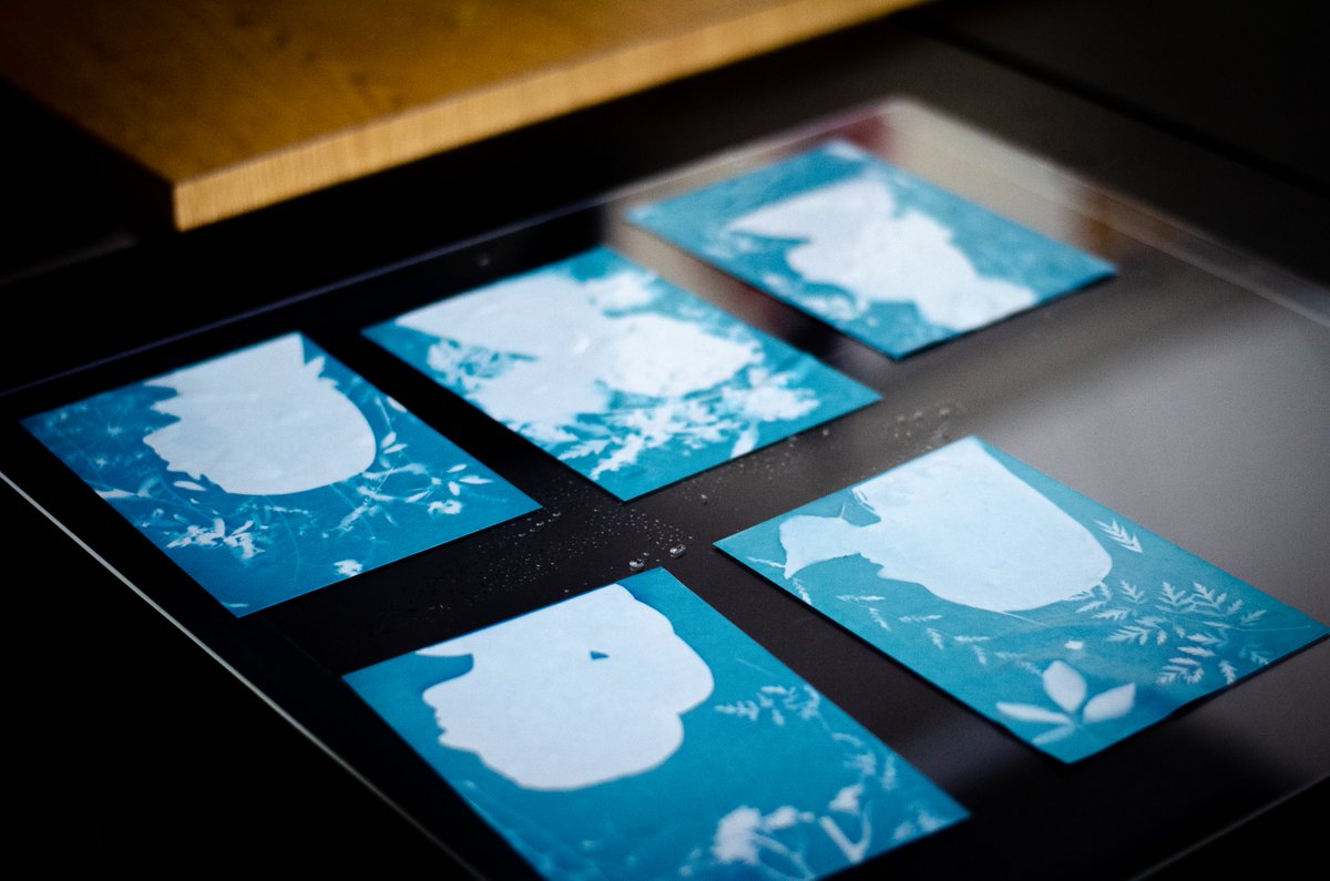 In day 6 of #biojamcamp, Melissa Ortiz asked teens to reflect on their identity, culture, and relationship with land through a cyanotype (sun print 🌞) self-portrait activity. 🖼️