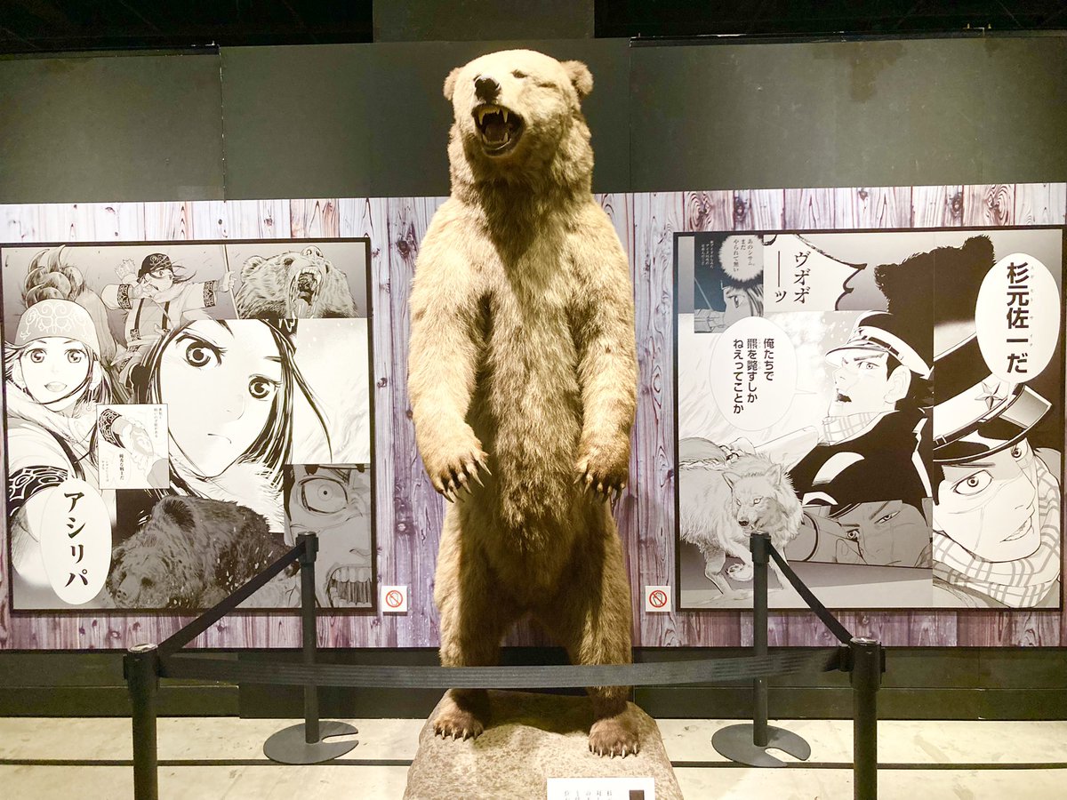 展に行った時の整理してるんだけど思いの外お透けになられてたのね 