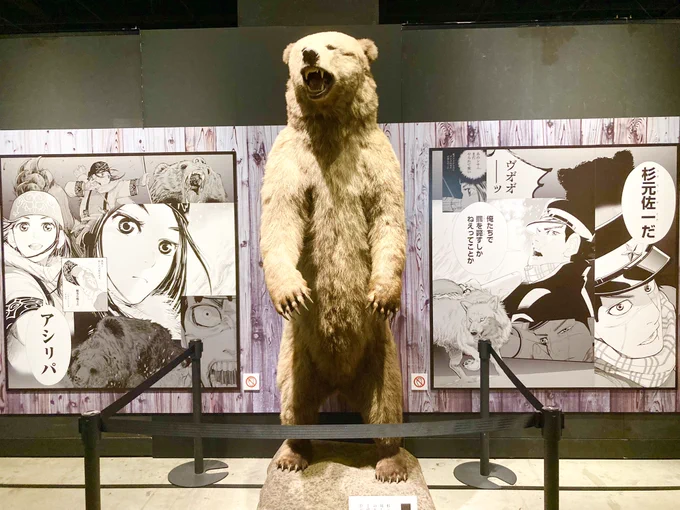 展に行った時の整理してるんだけど思いの外お透けになられてたのね 
