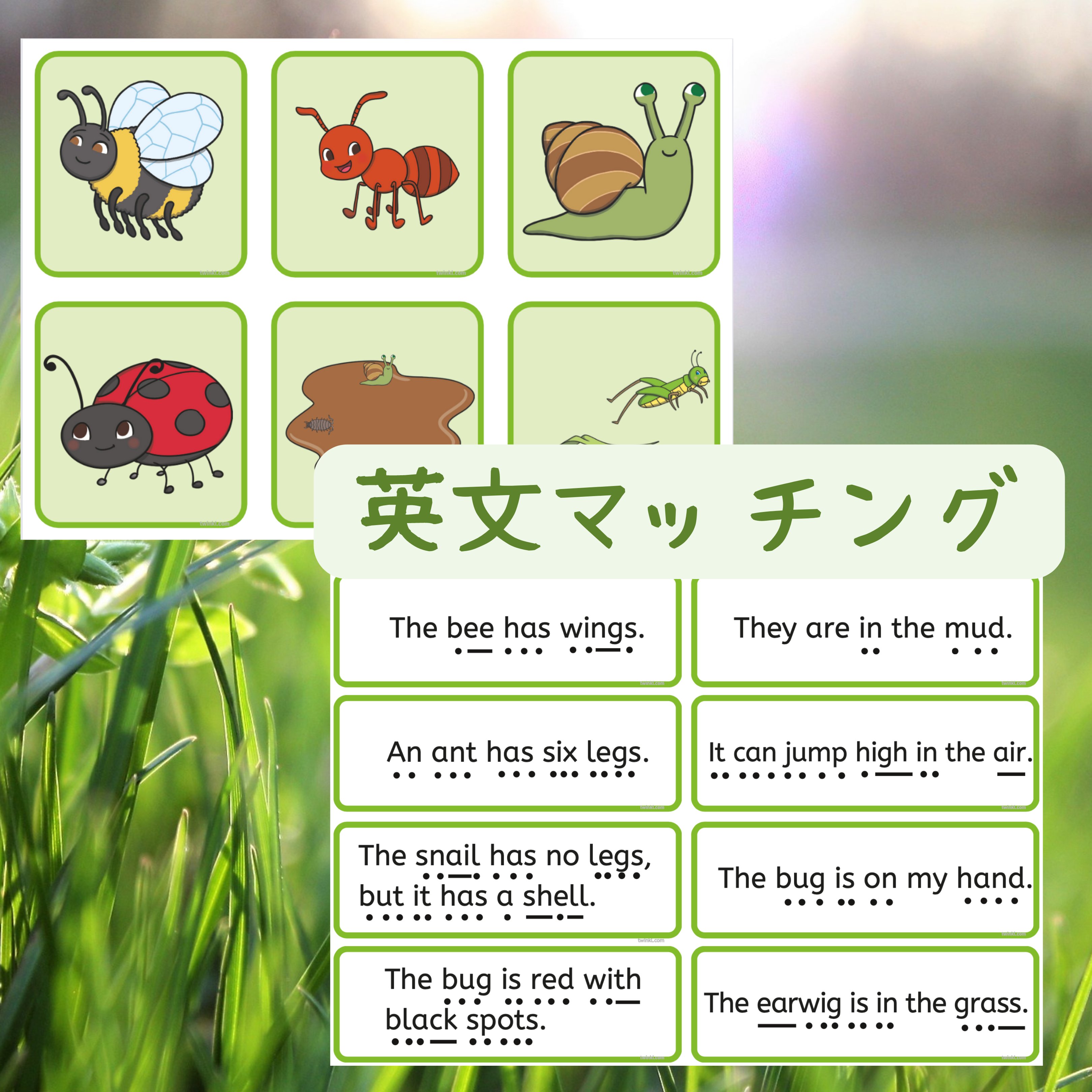 Tweets With Replies By Twinkl Japan 公式 Twinkl Japan Twitter