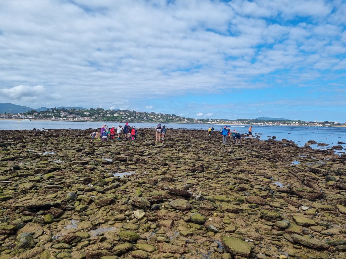La pêche est bonne : concombre de mer, crevette, crabes, bigorneaux ..