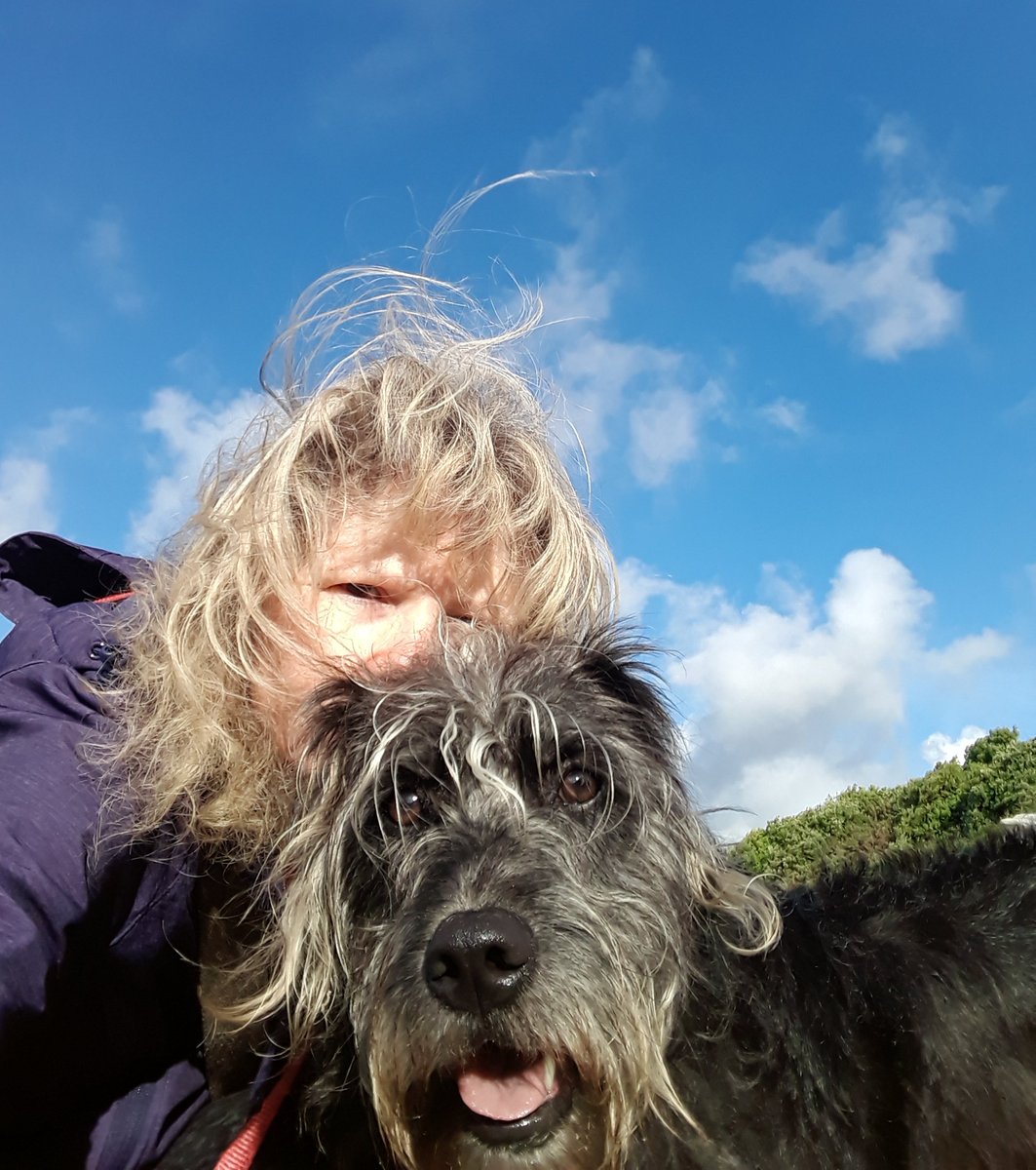 KateSalter3's tweet photo. Fab few days away with @pamJ2103 think Gertie's rocking the windswept look a tad better than me! #holidays #notcominghome https://t.co/QaI9MOb80e