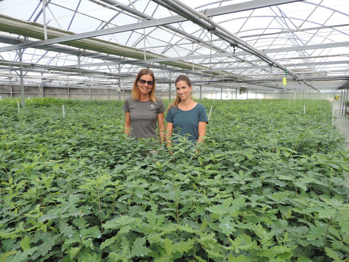 IntactProgetto's tweet image. During their secondment at @INRAE_Francese Eva Gómez and Marta Fábregas from @DPHuesca visited several truffle farms and plantations with INRAe colleagues meeting truffle growers and local truffle farmers and associations. @H2020 #INTACTproject