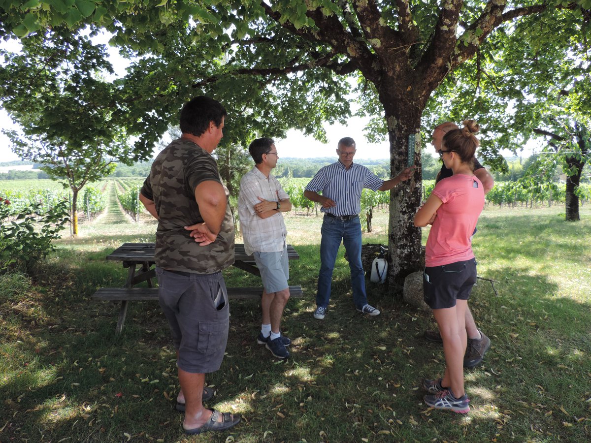 IntactProgetto's tweet image. During their secondment at @INRAE_Francese Eva Gómez and Marta Fábregas from @DPHuesca visited several truffle farms and plantations with INRAe colleagues meeting truffle growers and local truffle farmers and associations. @H2020 #INTACTproject