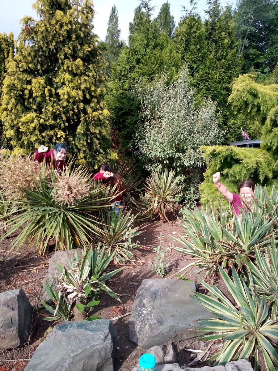 3Generate Reps tweet media