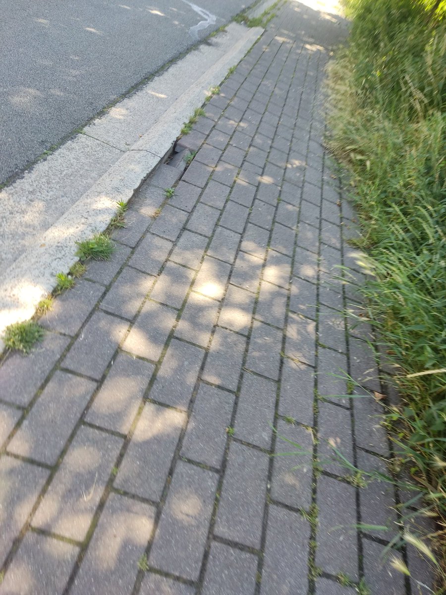 SpaceCookie92's tweet photo. Whut on a walk to the gym . My car and bike said not today 🤣 https://t.co/Sj9EA29jmz