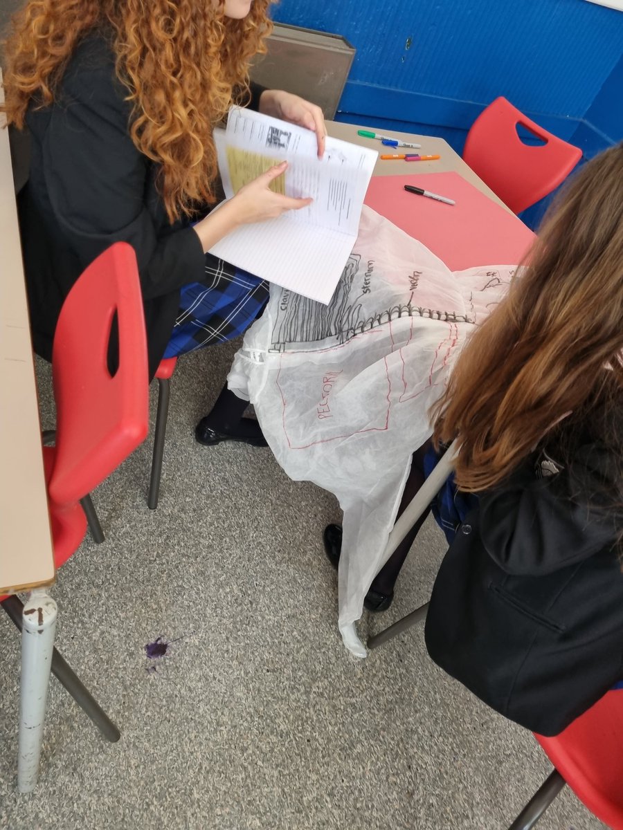 RodingValleyPE's tweet photo. Year 9 GCSE PE students working on their muscular skeletal boiler suits. Recapping both skeletal and muscular systems 🦴💪
@RodingValleyHS @RVHSTL
#boilersuits #creative #muscular #skeletal https://t.co/G5DuT4KnFO