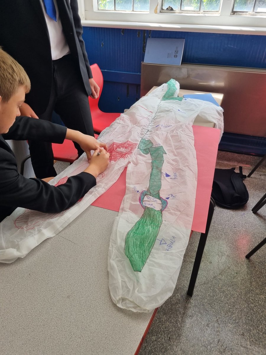 RodingValleyPE's tweet photo. Year 9 GCSE PE students working on their muscular skeletal boiler suits. Recapping both skeletal and muscular systems 🦴💪
@RodingValleyHS @RVHSTL
#boilersuits #creative #muscular #skeletal https://t.co/G5DuT4KnFO
