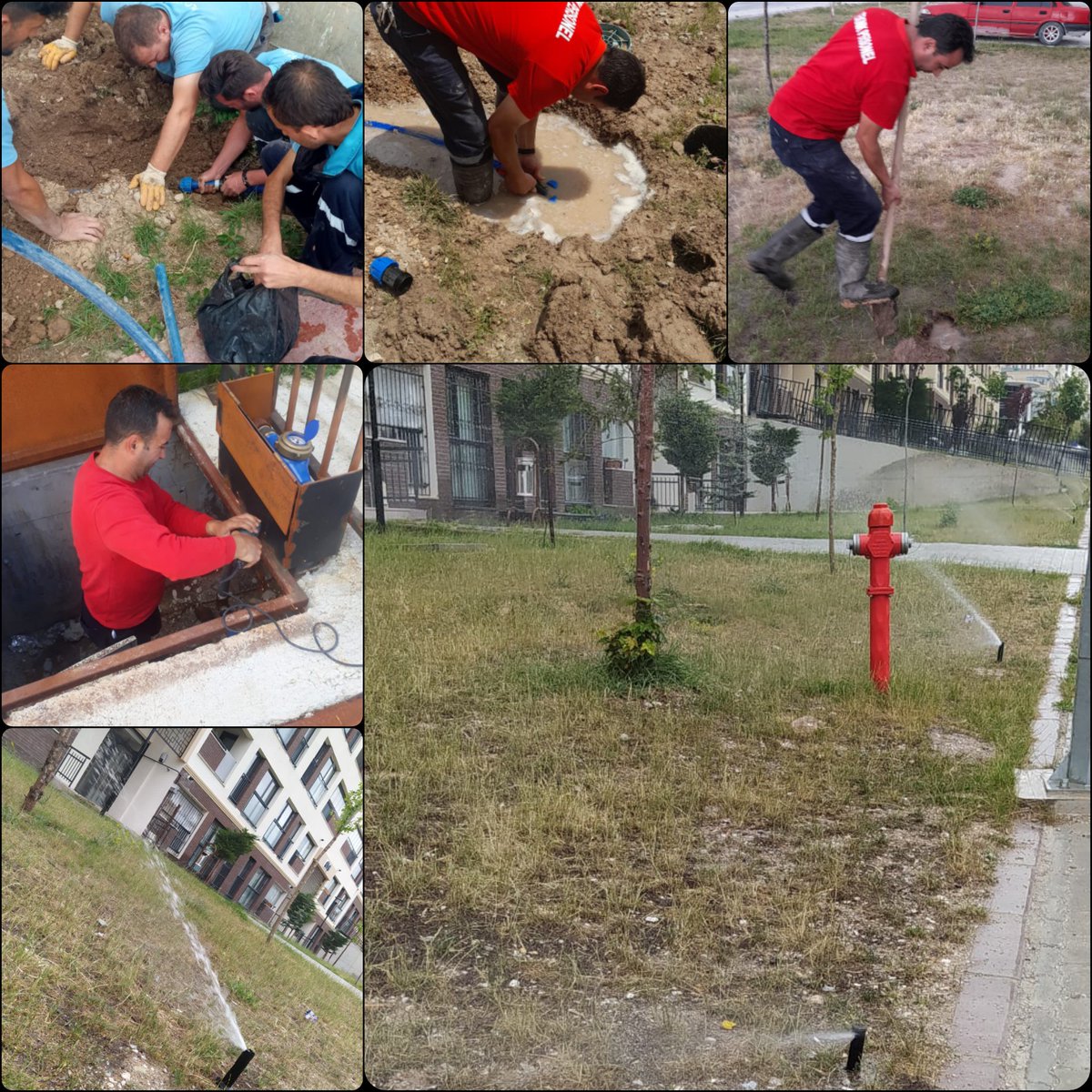 godene804's tweet photo. Çevre sulama ile alakalı fıskiyeler ve borular tamir edilip aktif hale getirilmiştir. Sulama işlemlerimiz başlamıştır. Sağlıklı günler dileriz.. https://t.co/gTudC6jOB4