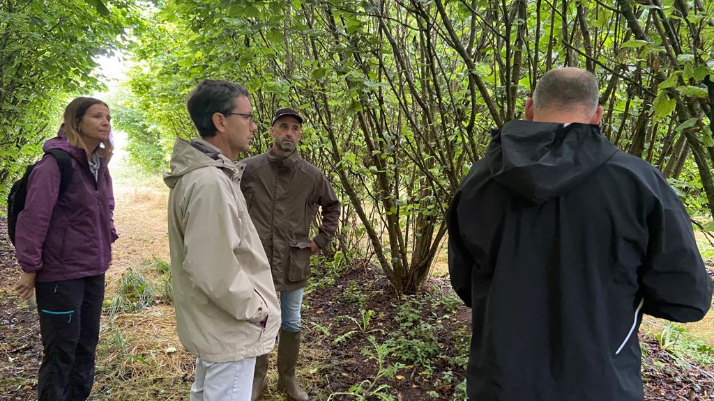 IntactProgetto's tweet image. During their secondment at @INRAE_Francese Eva Gómez and Marta Fábregas from @DPHuesca visited several truffle farms and plantations with INRAe colleagues meeting truffle growers and local truffle farmers and associations. @H2020 #INTACTproject