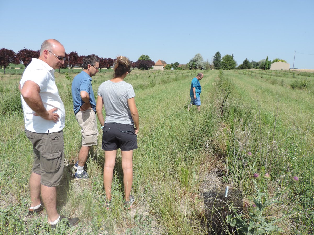 IntactProgetto's tweet image. During their secondment at @INRAE_Francese Eva Gómez and Marta Fábregas from @DPHuesca visited several truffle farms and plantations with INRAe colleagues meeting truffle growers and local truffle farmers and associations. @H2020 #INTACTproject
