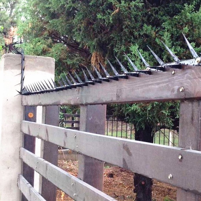 jcwiremesh's tweet photo. Superior Perimeter Protection Security Spikes Toppings
#spikestoppings #securityspikes #protectionrazorspikes
https://t.co/K1wLzTjhjA https://t.co/wcd3rX5OwQ