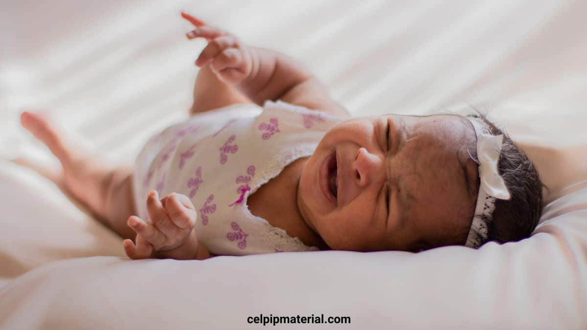 celpipmaterial's tweet image. CELPIP Speaking Opinion. Frequent flyers complain crying babies on flights. Should airlines consider banning children under 5 years old from their flights?

celpipmaterial.com/celpip-speakin…

#celpip #celpipmaterial