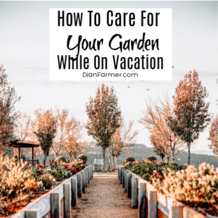 How To Care For Your Garden While On Vacation

dianfarmer.com/garden-care-wh…

#gardening #iloveplants #plantlover #plantsmakepeoplehappy #plantlove #organicgarden #homegrown #urbanfarming #gardeningtherapy #gardenersworld #organicgardener #gardentotable #sustainablesprout #veggie