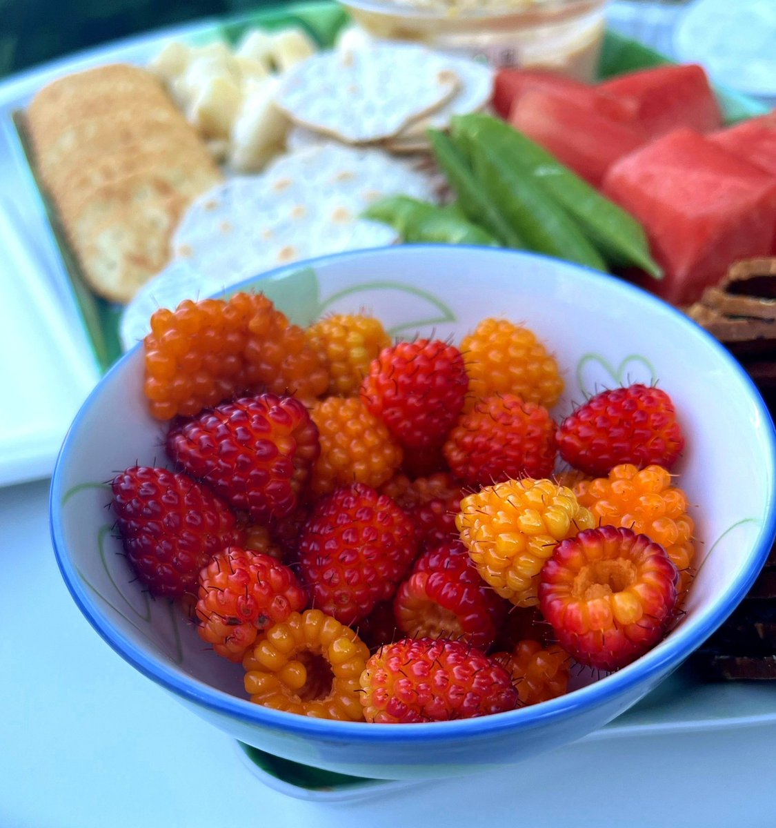 kitchenistakate's tweet photo. Salmonberries make fancy snacks fancier!
#salmonberries #alaska #fancysnacks https://t.co/NomAiI0Wkm