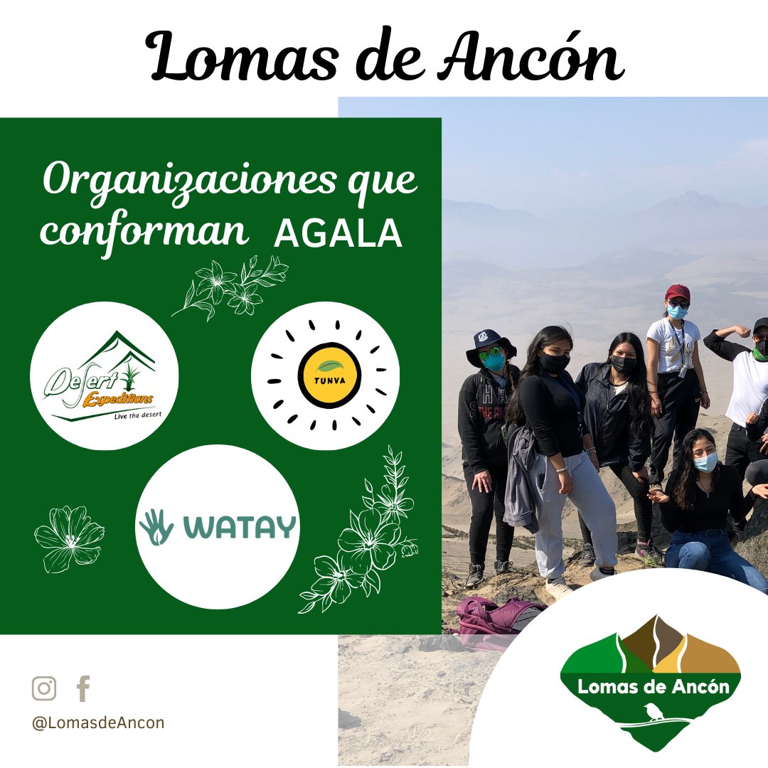 Lomas de Ancón 🖐🏼🍃 te da la bienvenida a este nuevo espacio creado para conocer más sobre este grandioso ecosistema y te invita a sumarte a su comunidad. 🤜🏻🤛🏻✨