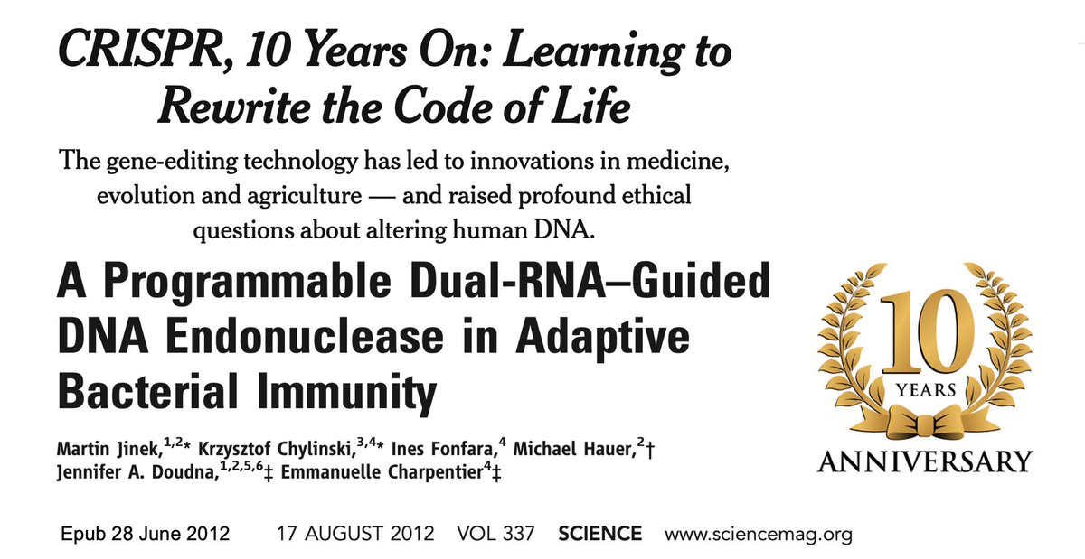 Maybe the first #CRISPR paper you read? 
Don't know it?  Time travel to read:
@MartinJinek et al. Programmable Dual-RNA–Guided DNA Endonuclease in Adaptive Bacterial Immunity. 
Online 10 years ago science.org/doi/10.1126/sc…

Covered in  @NYTimes
nytimes.com/2022/06/27/sci…

#CRISPR News