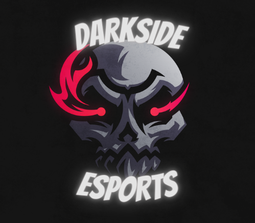 DarkSide eSports tweet media