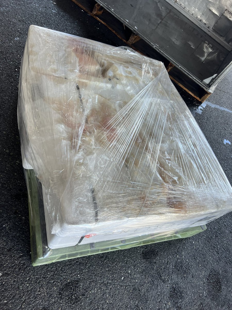 _a_atarou's tweet photo. 朝からサーモン積んできた🇨🇦

🐟汁やばいし暑いし臭いから余計に
おぇってなりかけた🤮

汗と、魚汁でもうお風呂入りたい😂

やっぱり外国から輸入の物はラン箱多い
もうちょい丁寧にコンテナに入れてきて
ほしかったよ。。 https://t.co/NdbbGVVVJh