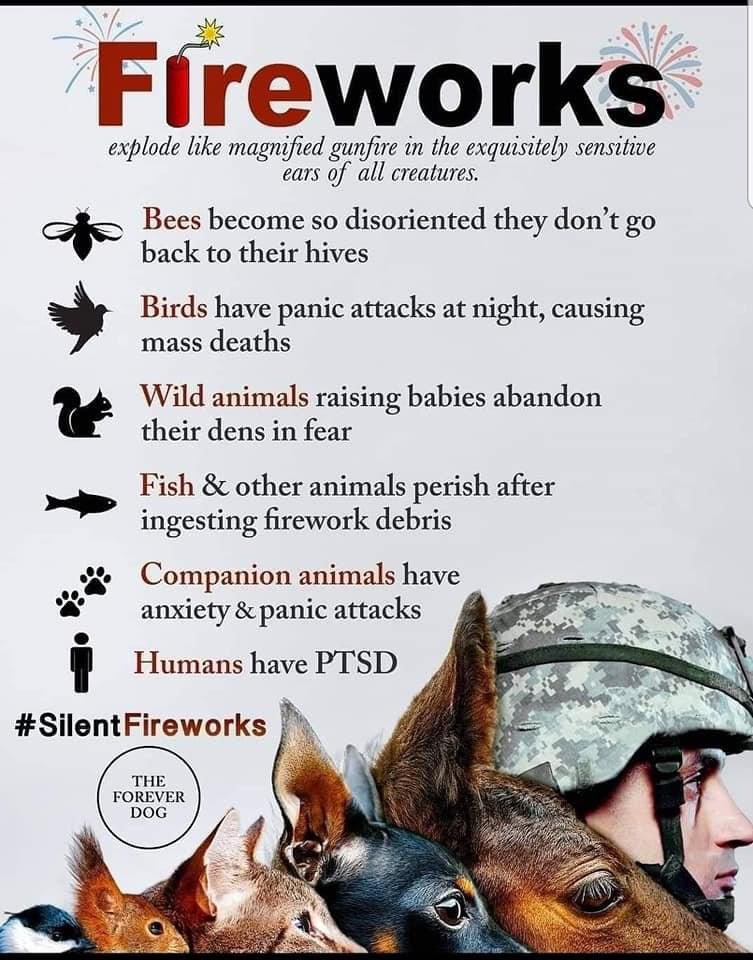 JackieEco's tweet photo. PLEASE SHARE #SilentFireworks are in much of Europe. When will WE evolve? STOP illegal fireworks #PTSD #VETERANS #RaiseAwareness #FireworksKillAnimals #ProtectWildlife #Fireworks #firecrackers #independenceday #FourthofJuly #4thOfJuly #dogs #cats #birds #wildlife #babyanimals https://t.co/L2VYCVFXgH