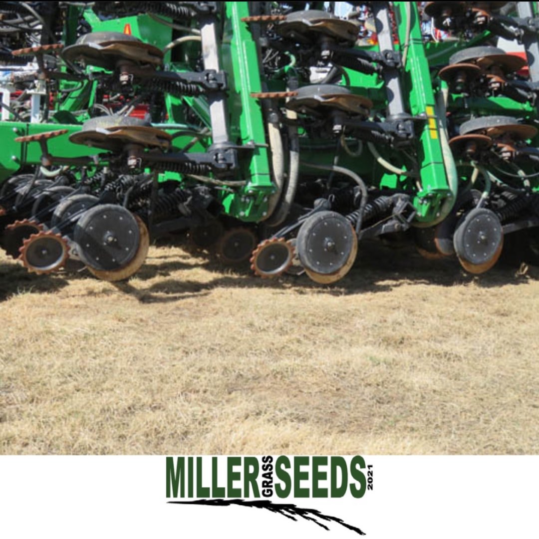 MillerSeeds's tweet photo. John Deere 1895 with mid row fertilizer banders.⁠
🌱🌱🌱⁠
Very accurate depth control and minimal furrows. This is our best drill for undisturbed land.⁠ https://t.co/JbaJP2XkNX