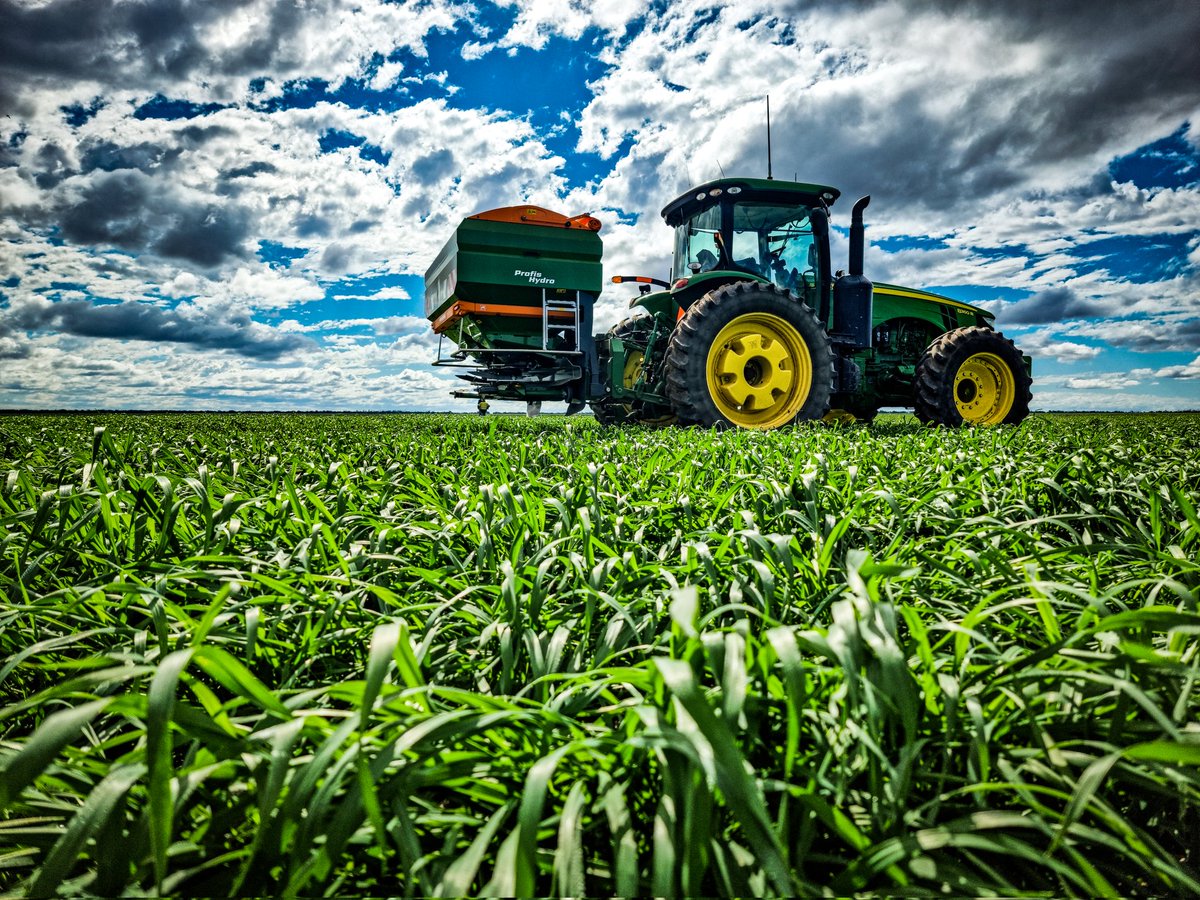 Jake Hamilton tweet media