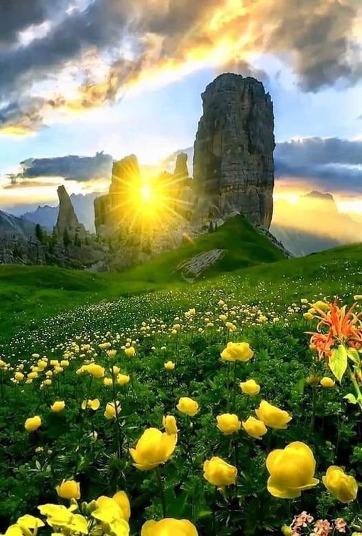 BerdzikMaciej's tweet photo. @Aleksan52094351 Good Morning Aleksandar https://t.co/oYqutxagZ0