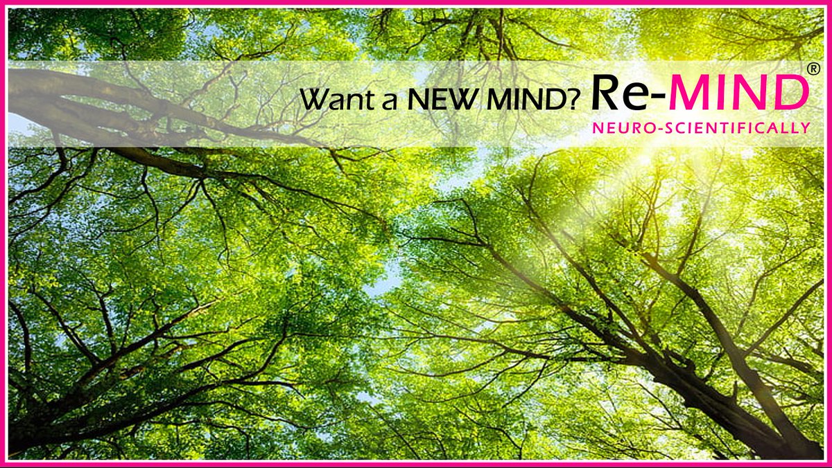 ReMINDClub's tweet photo. #ReMIND: For Your New #Mind

#Training #Coaching #Counselling for:
#Learning #Memory #Education #Career
#PersonalDevelopment #SelfDevelopment
#ProfessionalDevelopment #Leadership
#WellBeing #Motivation #MentalHealth https://t.co/Hq9blgzB5o