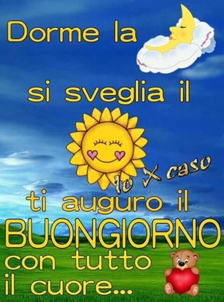 sasarozza tweet picture