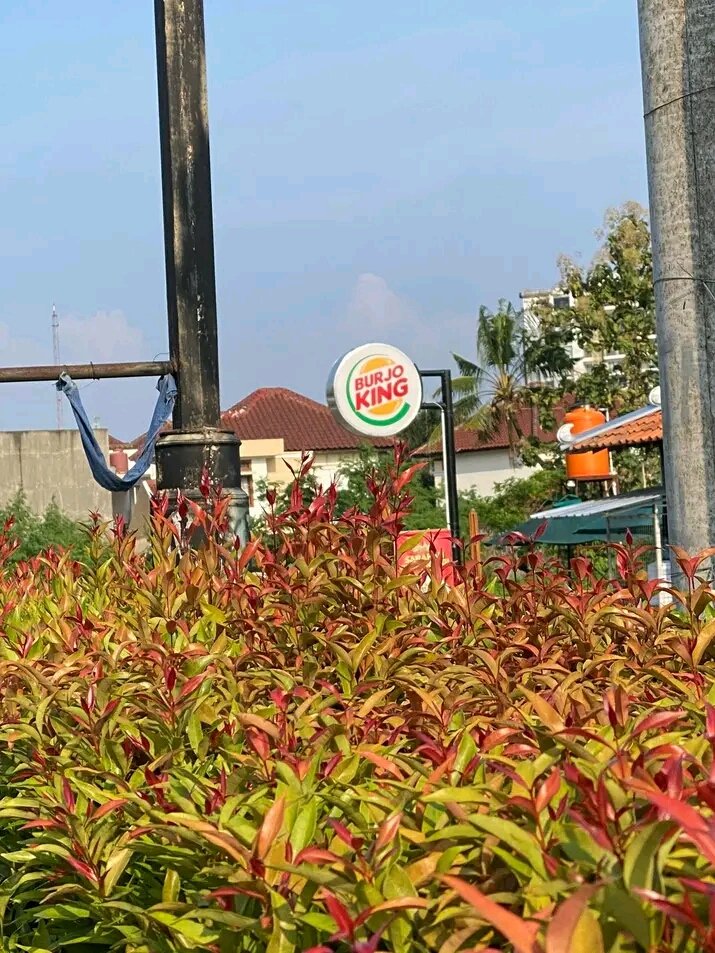 el (@halupulisi) on Twitter photo 