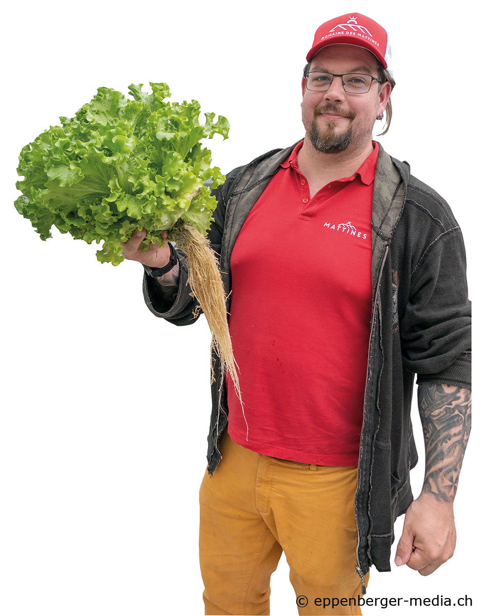 Gemüsegärtner Jeremy  Blondin baut Salate im #Aeroponic-System an. Die Wurzeln nehmen dabei Wasser und Nährstoffe über einen feuchten Nebel auf. Er produziert unter einem eigenen Label, das den Verzicht auf synthetische Pflanzenschutzmittel garantiert. eppenberger-media.ch/das-eigene-lab…