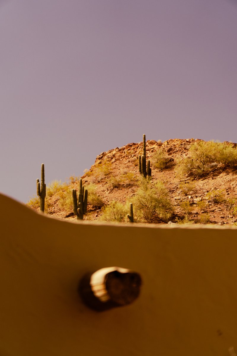 JustinMcEachron's tweet photo. Desert Botanical Garden. #pheonix #desertbotanicalgarden #cacti https://t.co/bxClgiFbaz