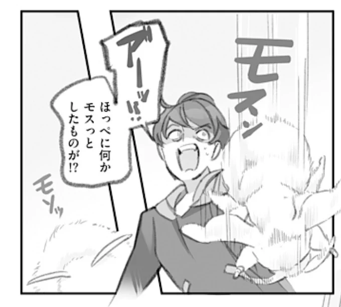 暑さで体力が落ちモス…  まだ6月なのにずっと猛暑のターン! 熱中症にお気をつけください  #モスのいる日常 #モス日