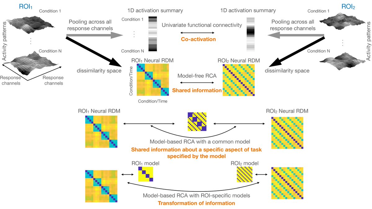 mrccbu's tweet image. Caveats and nuances of representational connectivity analysis: ow.ly/vOvZ50JBg5T