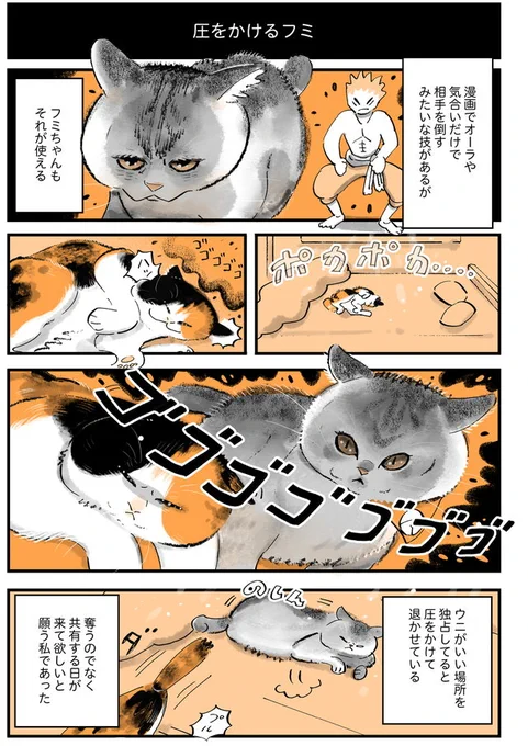 『圧をかける猫』 