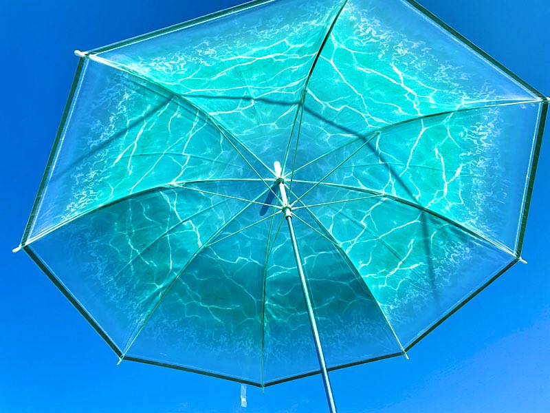 「一目惚れして買った傘がめちゃくちゃ可愛いから見て☂️ 」|堂島 まゆのイラスト