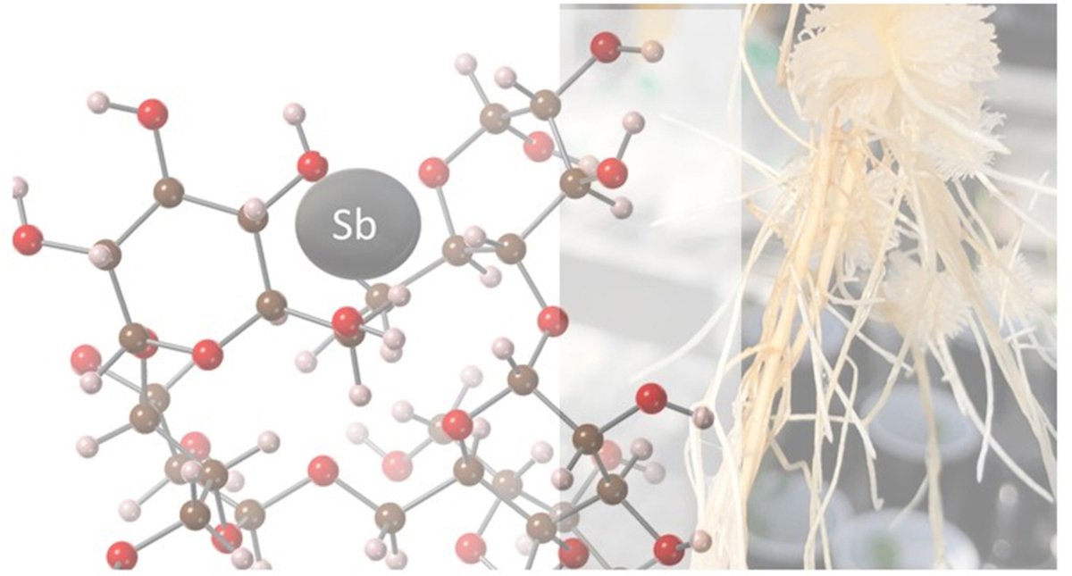 Ed Burton tweet media