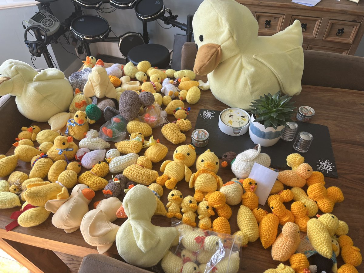 🐥💞- join in the most adorable way to raise awareness- check out the website for details - we at RPH are collecting Duck donations for an event celebrating Organ Donation week in September- count so far - 237, hoping to reach 1000 🤩🤩