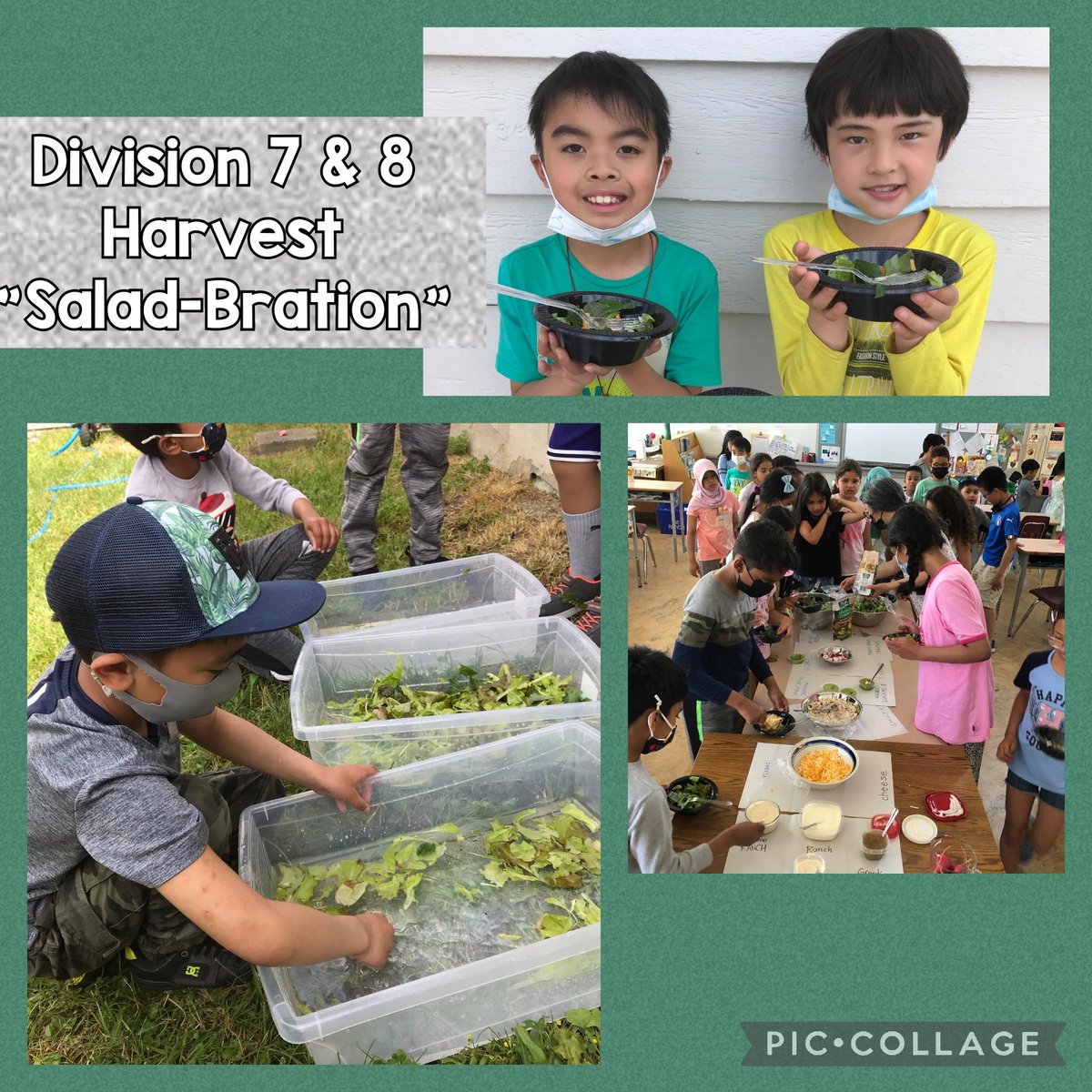 Start with shopping at Save-On-Foods to supplement your garden harvest, and "salad-brate" with salad bowls.  Everyone eating their veggies today with many repeat bowls!