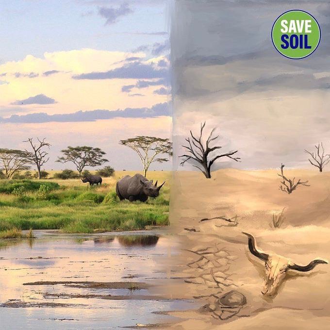 _prabha1's tweet image. #SaveSoil @SadhguruJV @cpsavesoil #WorldUnitesForSoil 🌏🌎🌍
from @devarajss
•
#savesoil #isharaleigh #consiousplanet #organiccontent #fromsoiltosand #fromsandtosoil Let’s Make It Happen 🌾🎋🌱🌾🌲🌳🌴