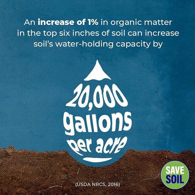 _prabha1's tweet image. #SaveSoil @SadhguruJV @cpsavesoil #WorldUnitesForSoil 🌏🌎🌍
from @devarajss
•
#savesoil #isharaleigh #consiousplanet #organiccontent #fromsoiltosand #fromsandtosoil Let’s Make It Happen 🌾🎋🌱🌾🌲🌳🌴